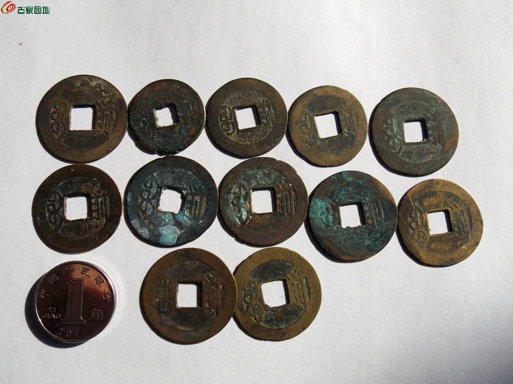 调整大小 DSCN0510.JPG