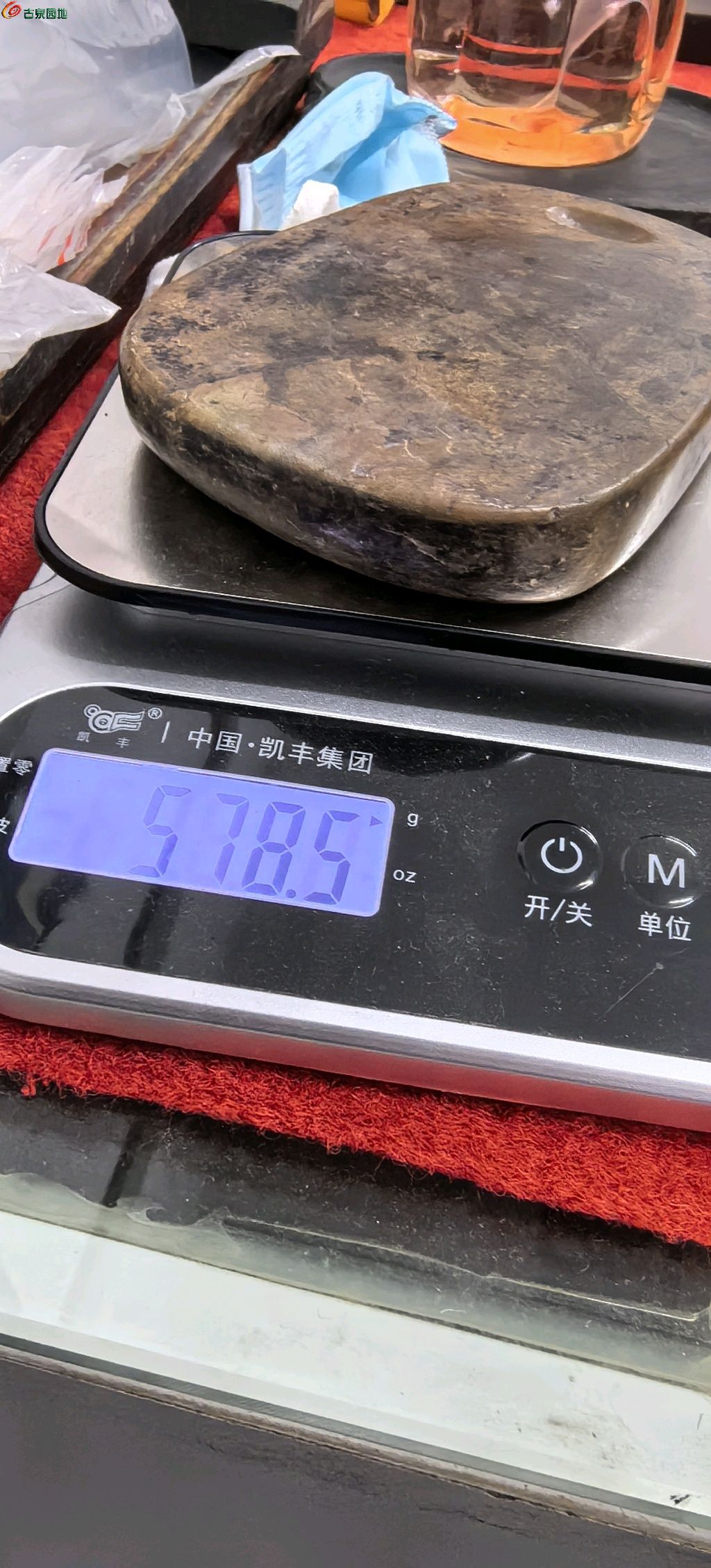 1711361851430.xfile.jpg