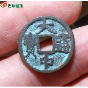 大中背桂一