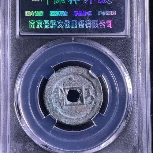 道光通宝宝伊背上星