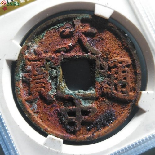 公博85 大中折五