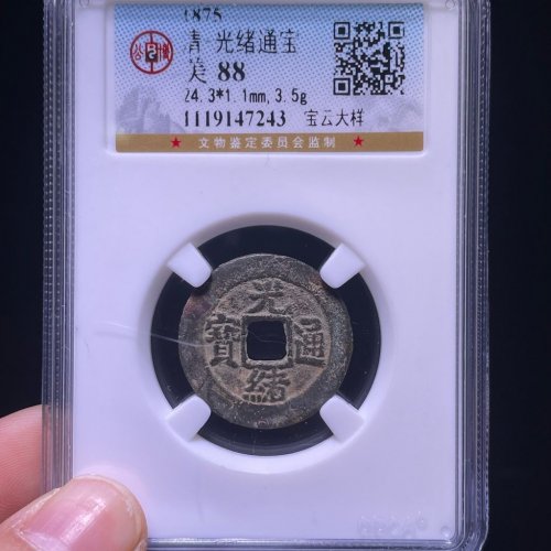 光绪通宝宝云大样