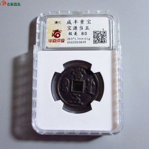 w咸丰重宝宝源当五（评级币）