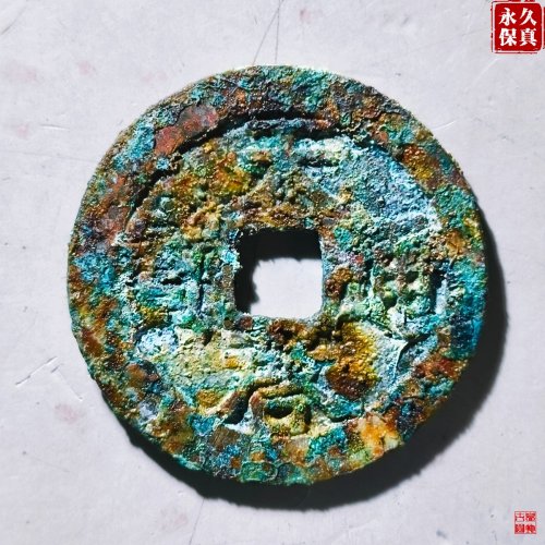 园地评级天启通宝背上户